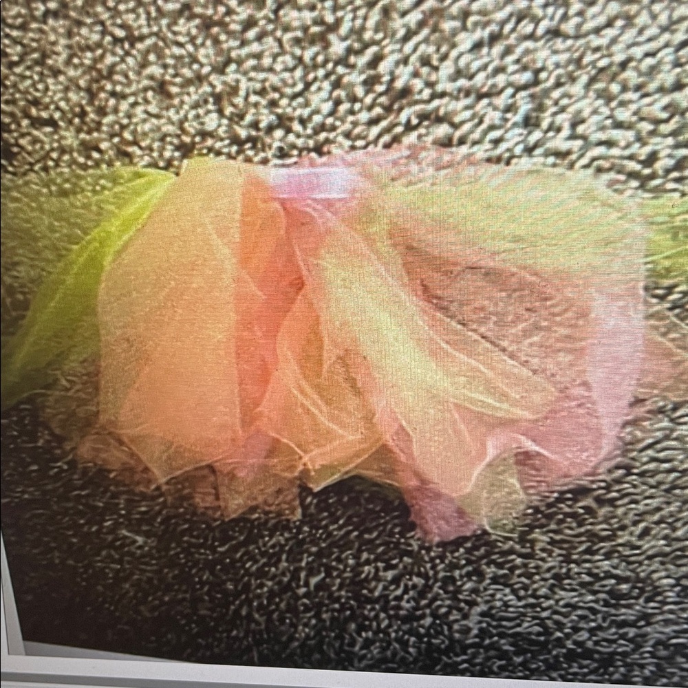 American Girl Wellie Wishers tutu